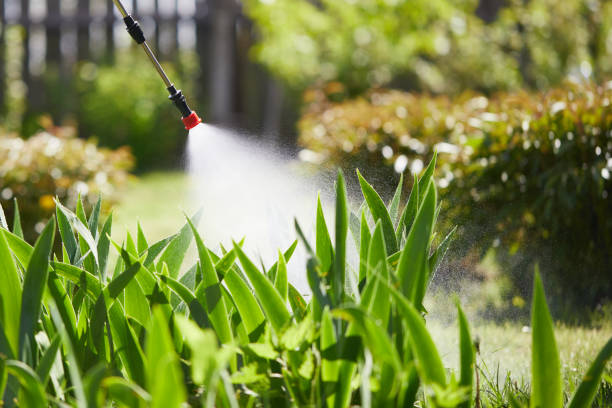 24/7 Emergency Mosquito Control experts in Grimes, IA